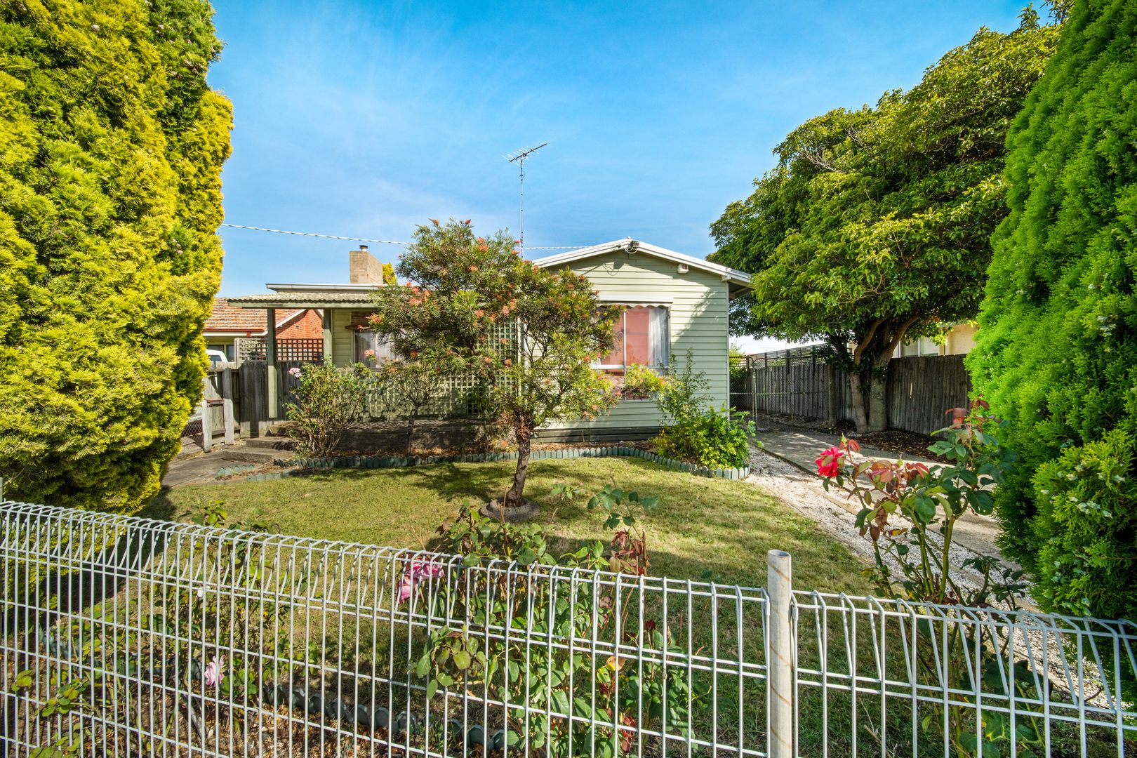16 Rosella Court Norlane VIC 3214 Domain