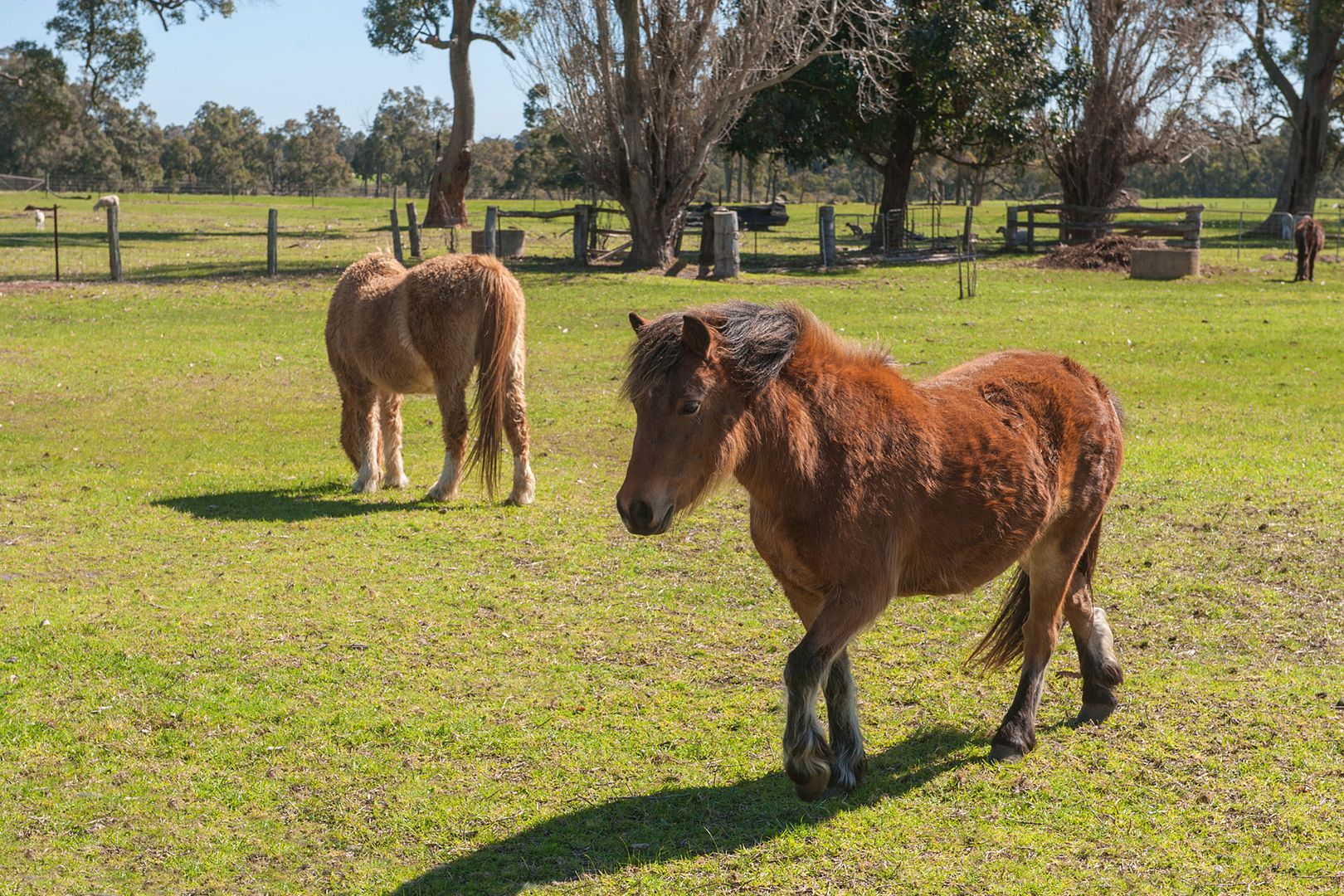 696 Price Road, Boallia WA 6280, Image 1