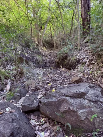 Image 13