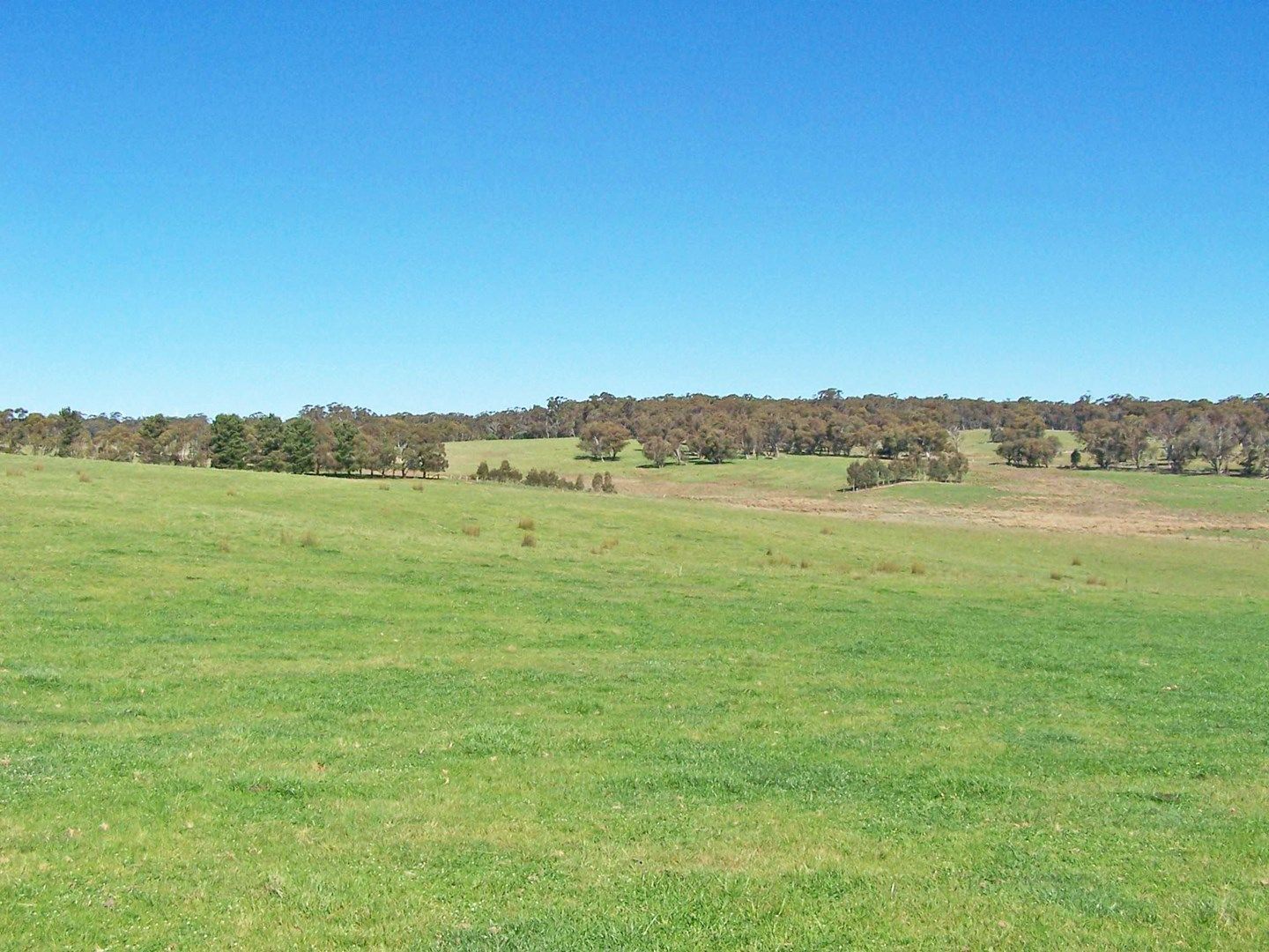 Wheeo Road, Crookwell NSW 2583, Image 0