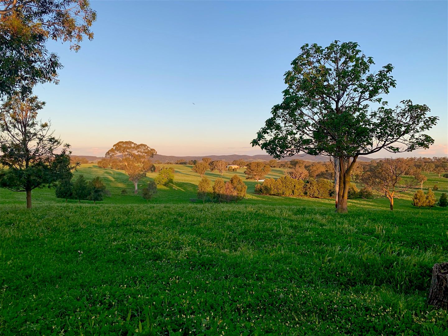 553 Coolalie Road, Yass NSW 2582, Image 1