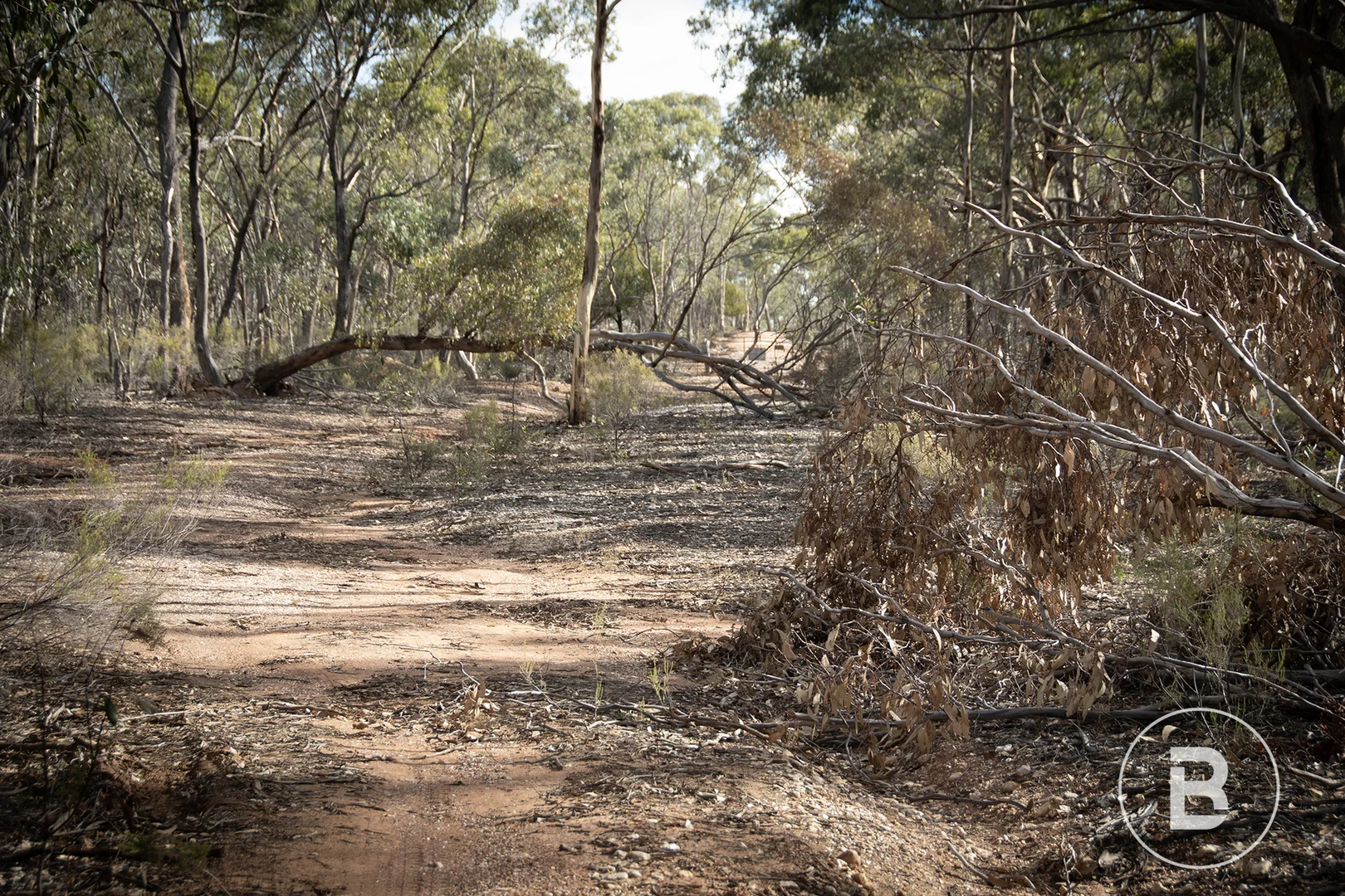 Additional image 8 of CA4 SEC 6 Maryborough Dunolly Road, Havelock VIC 3465