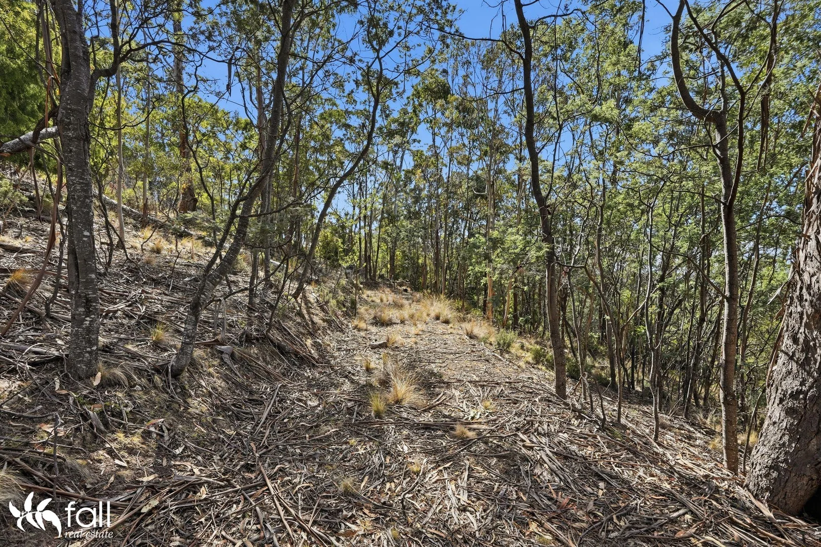 Additional image 10 of 40 Dexter Drive, Mount Rumney TAS 7170