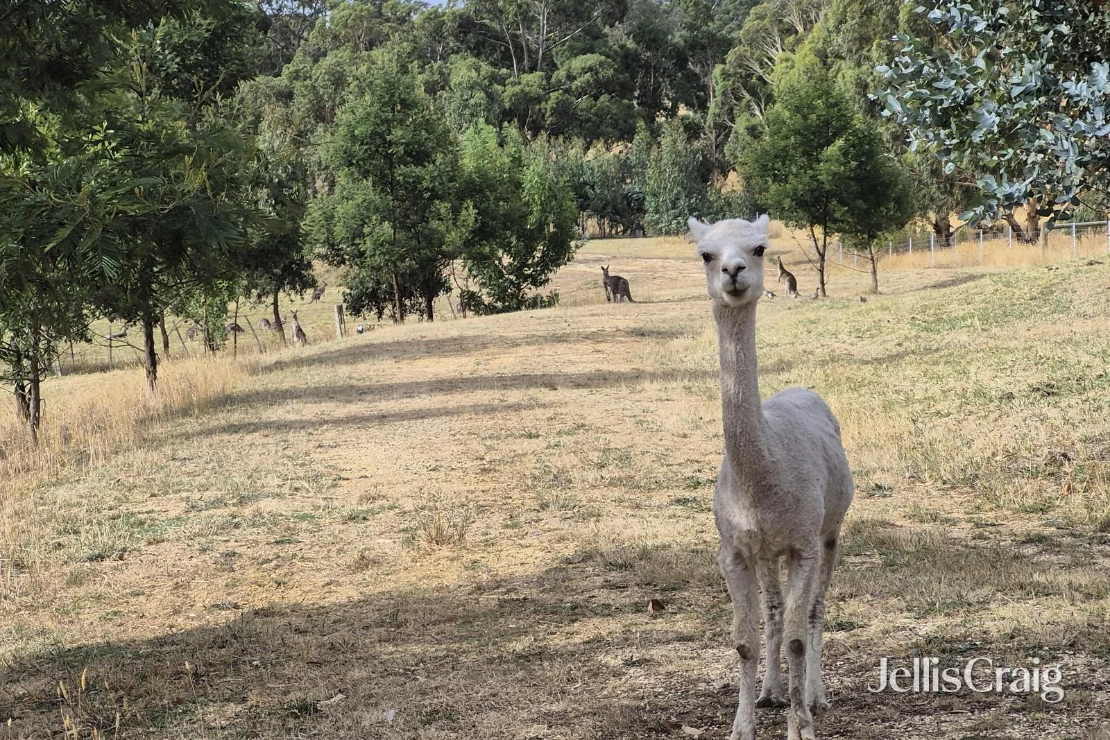Additional image 8 of Lot 1/4 Blackberry Lane West, Buninyong VIC 3357