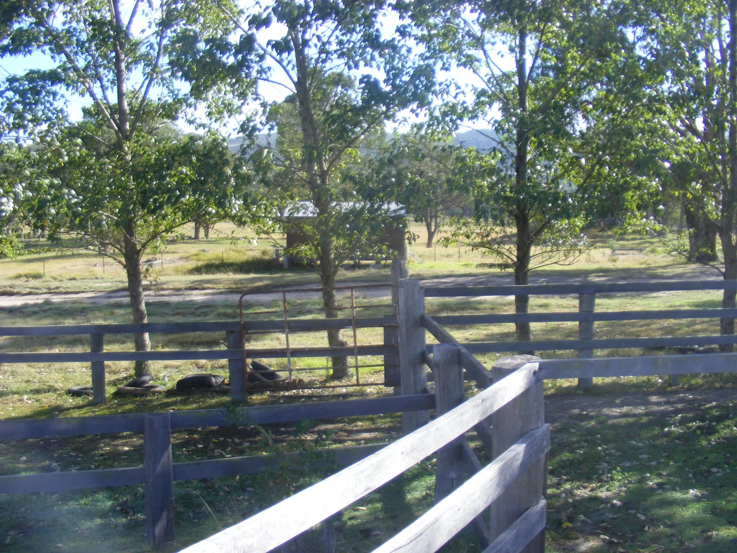 Image 6