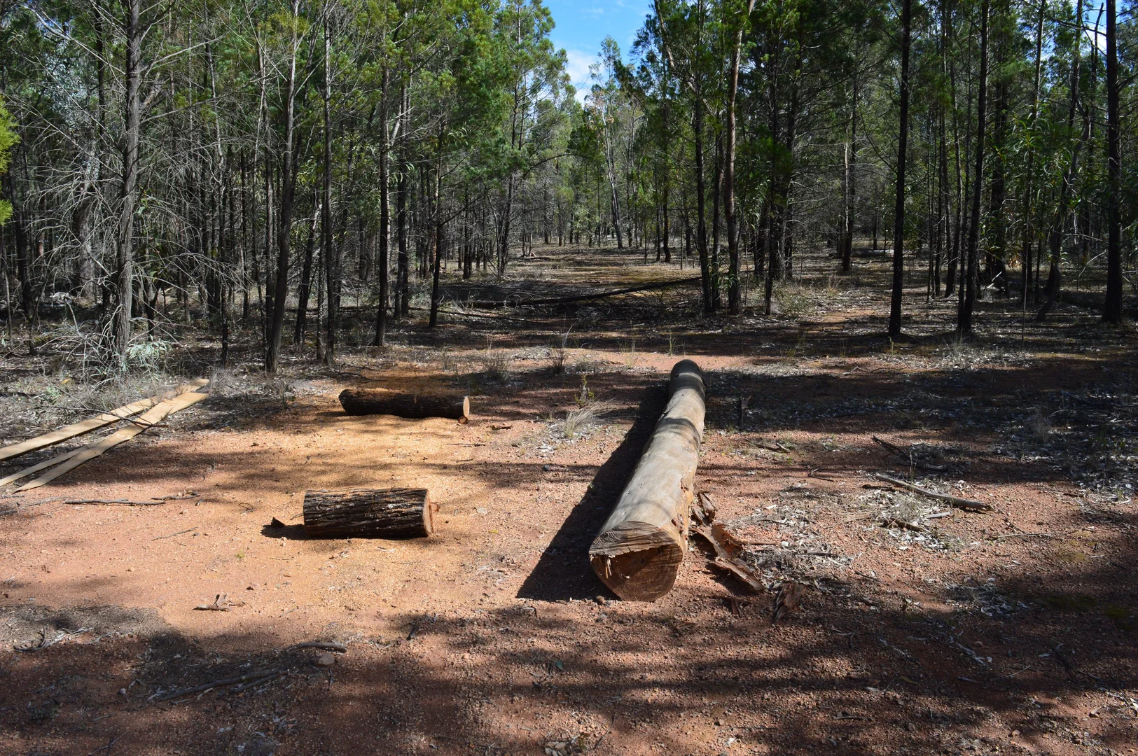 Additional image 6 of Lot 17 Tin Hut Road, Inglewood QLD 4387