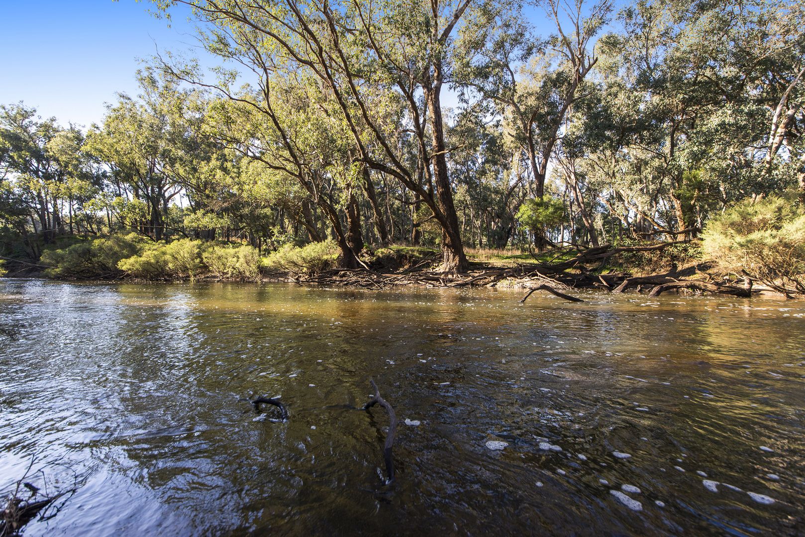 Lot 5399 Brockman Highway, Nannup WA 6275, Image 1