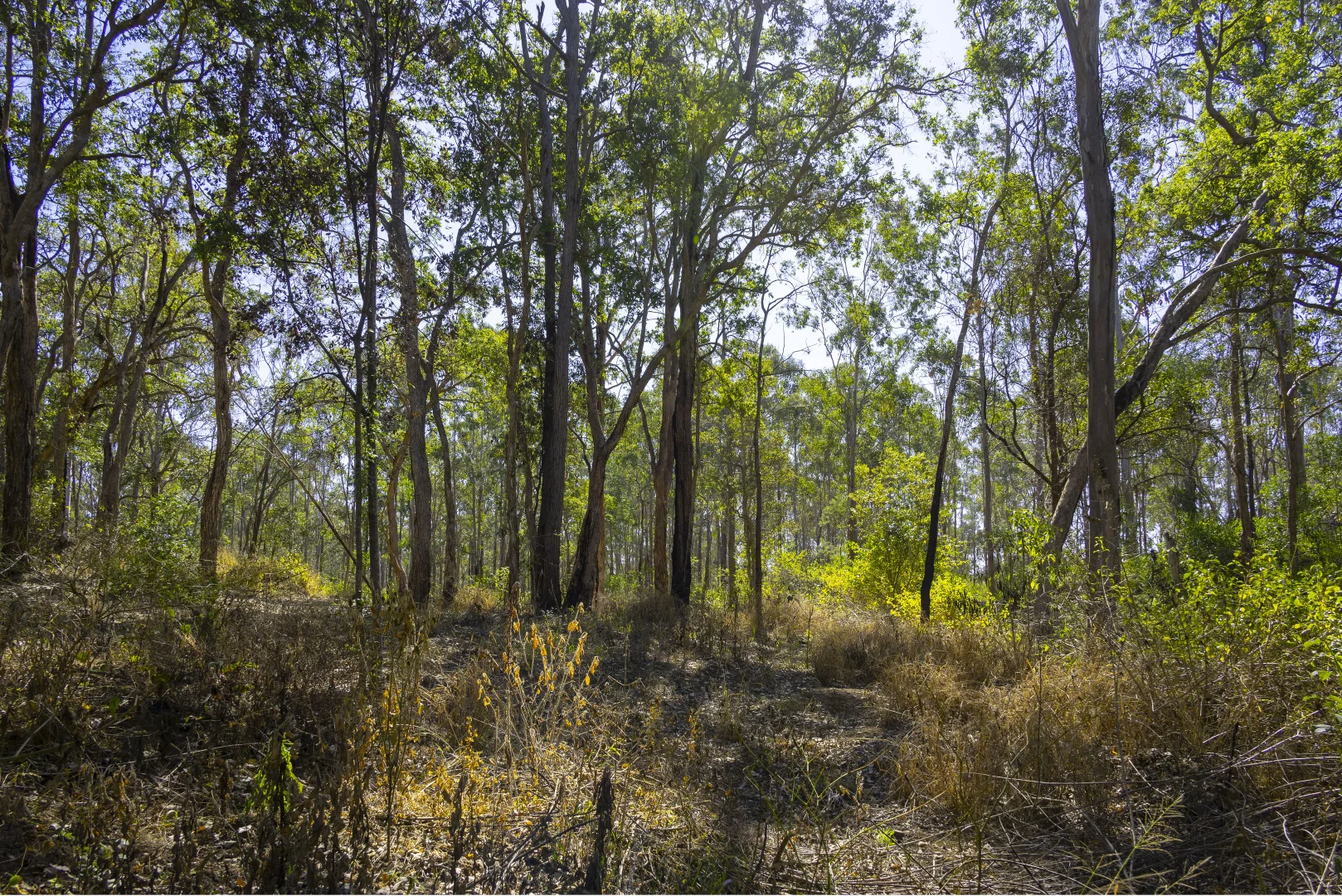 Image 13