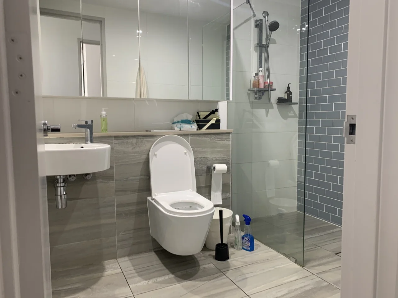 Additional image 5 of 201/1 Gearin Alley, Mascot NSW 2020