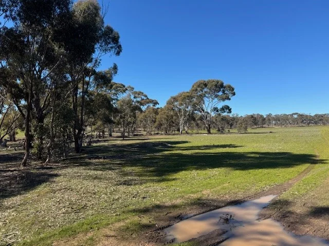 Image 15