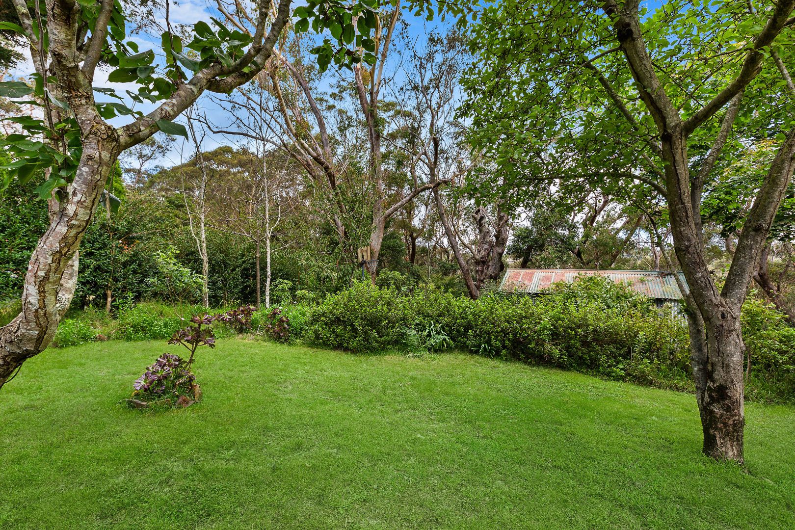 23 Lawson View Parade, Wentworth Falls NSW 2782, Image 2