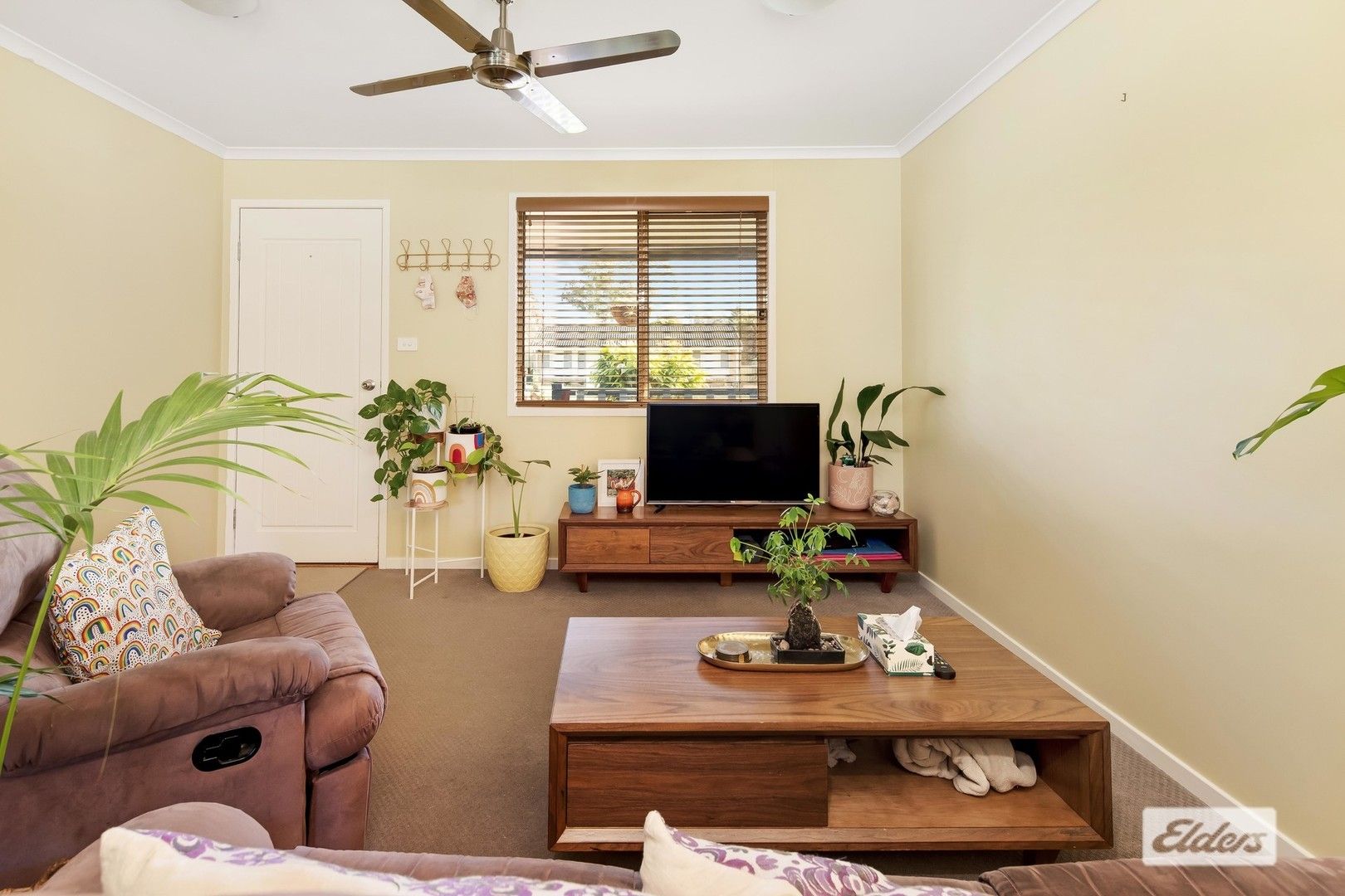 34 Haslingden Street, Moruya NSW 2537, Image 2