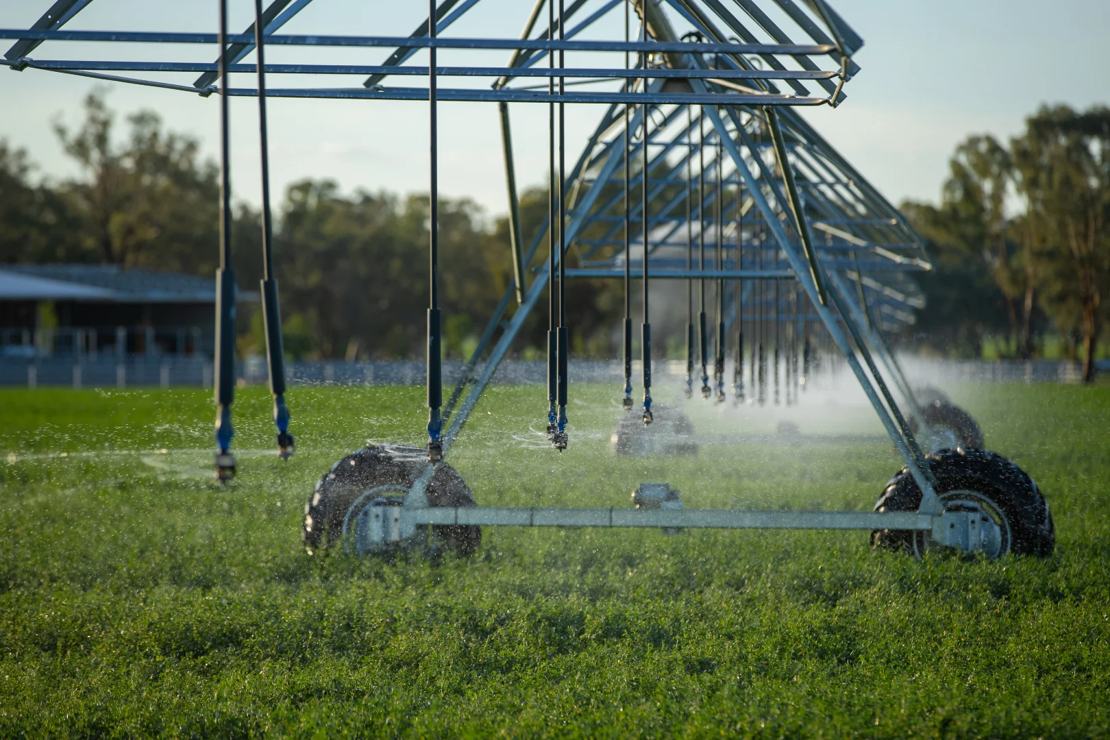 Additional image 19 of 1948 Coach Road, Morven NSW 2660