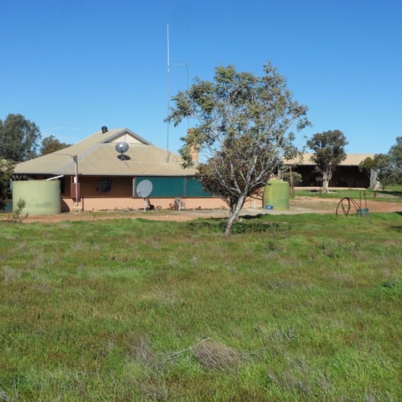 lot 52 Nundroo Fowlers Bay Road, Coorabie SA 5690 House for Sale