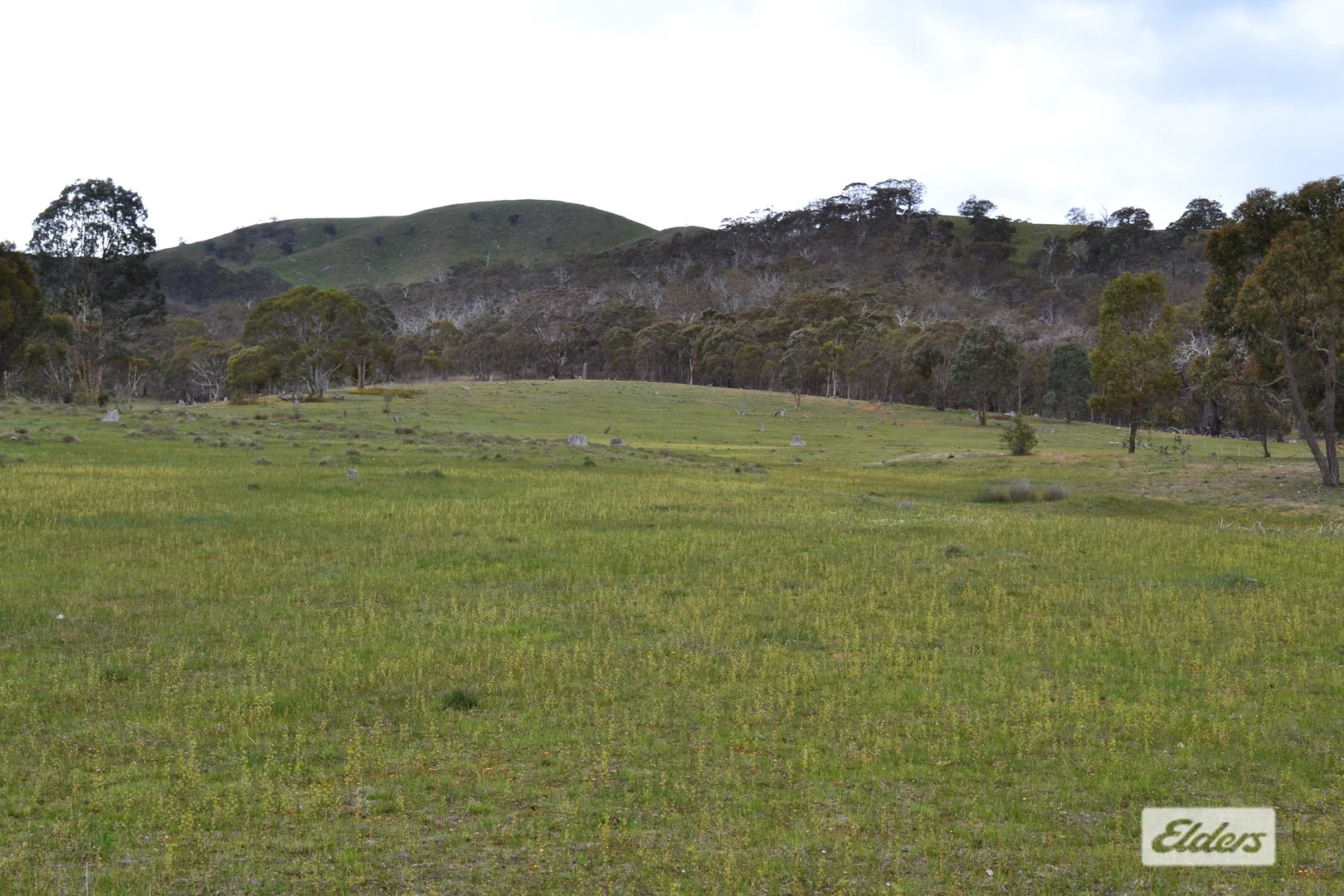 Image 22