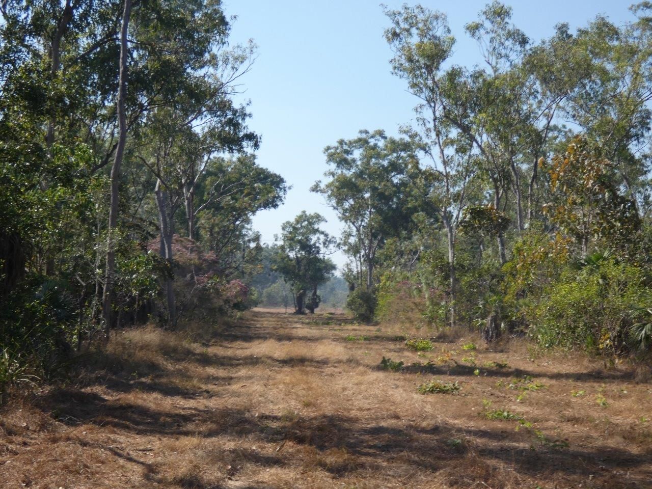 15 Moonfish Road, Dundee Downs NT 0840, Image 1