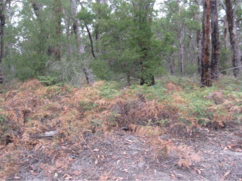 Lot 2 Whitelaws Track, Devon North VIC 3971, Image 2