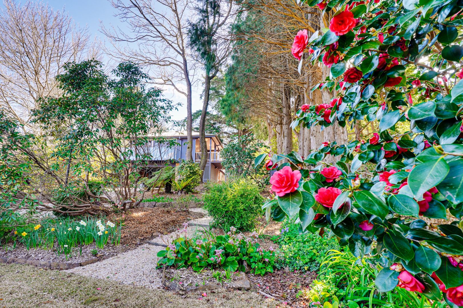 6 Mclaughlin Avenue, Wentworth Falls Property History & Address