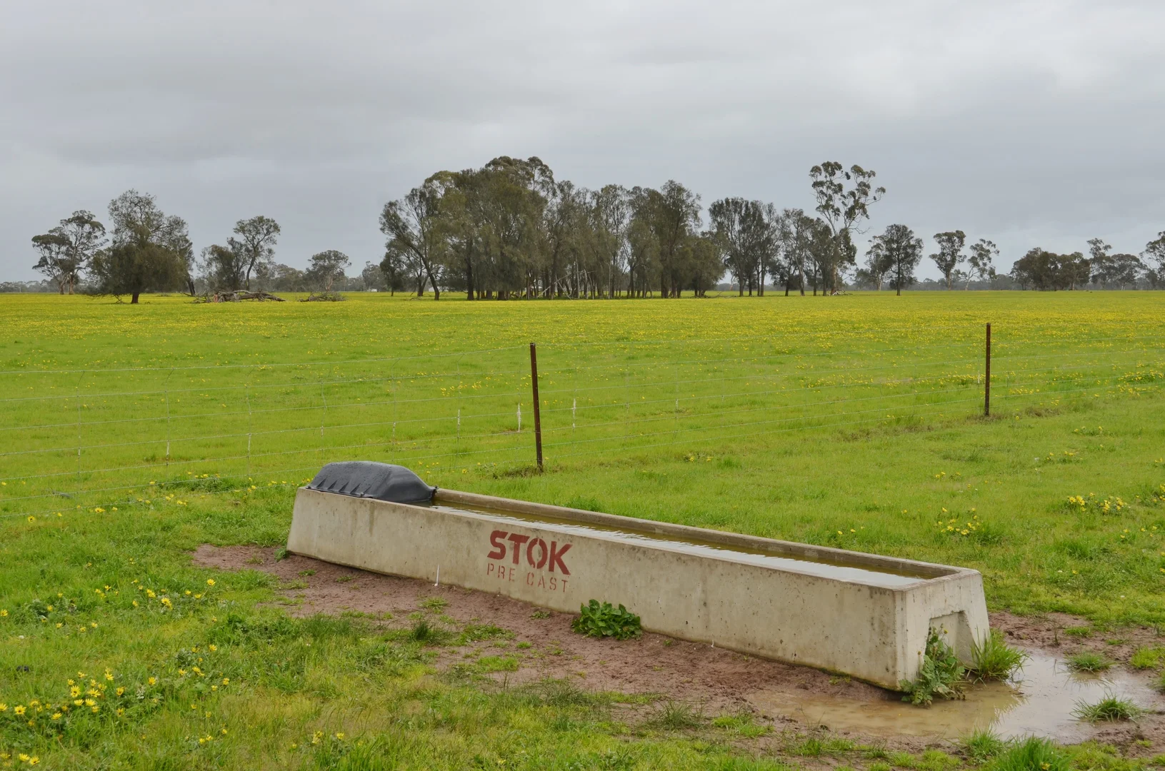 Image 14