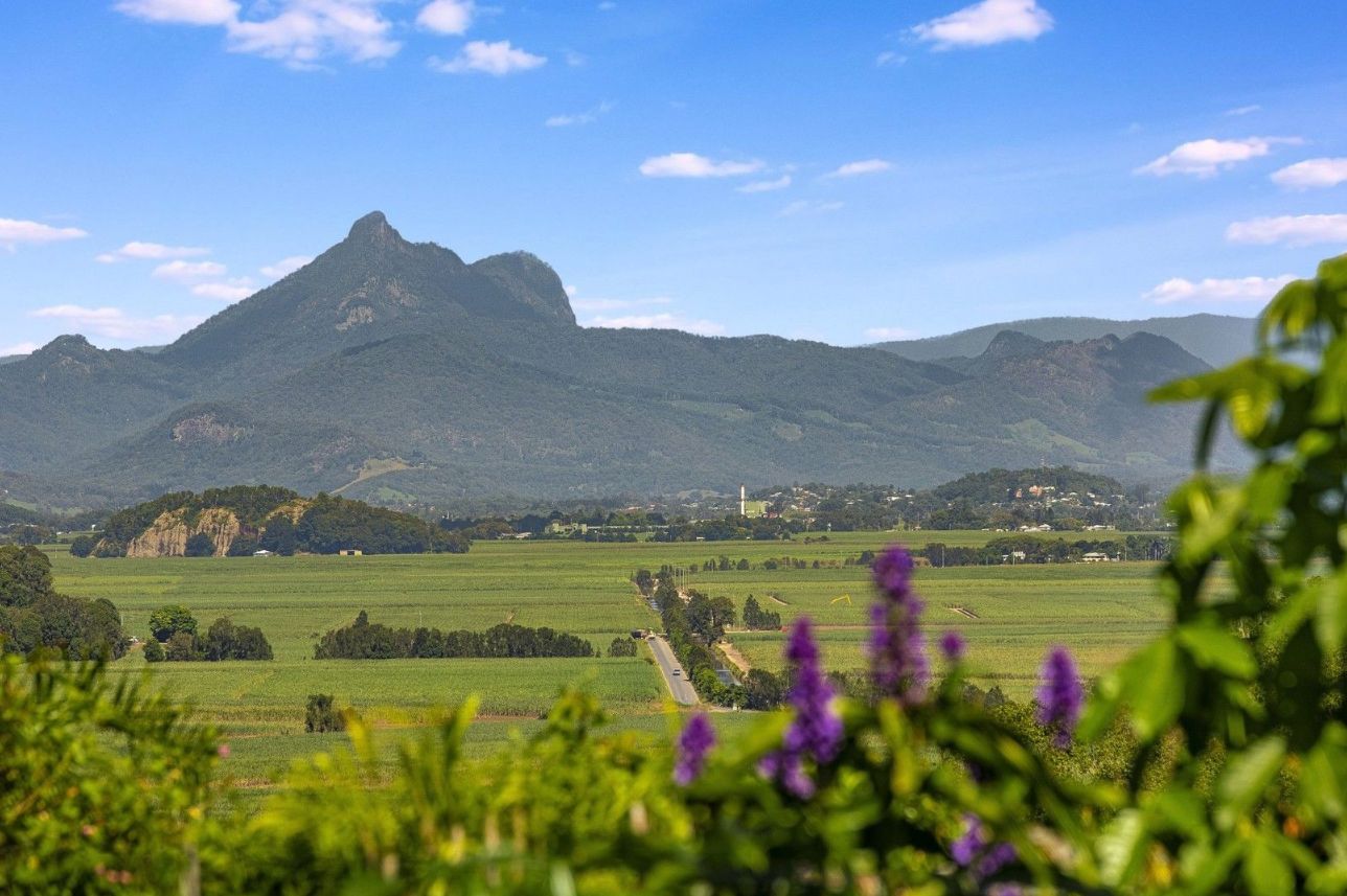 114 Cudgen Road, Duranbah NSW 2487 House for Sale Domain