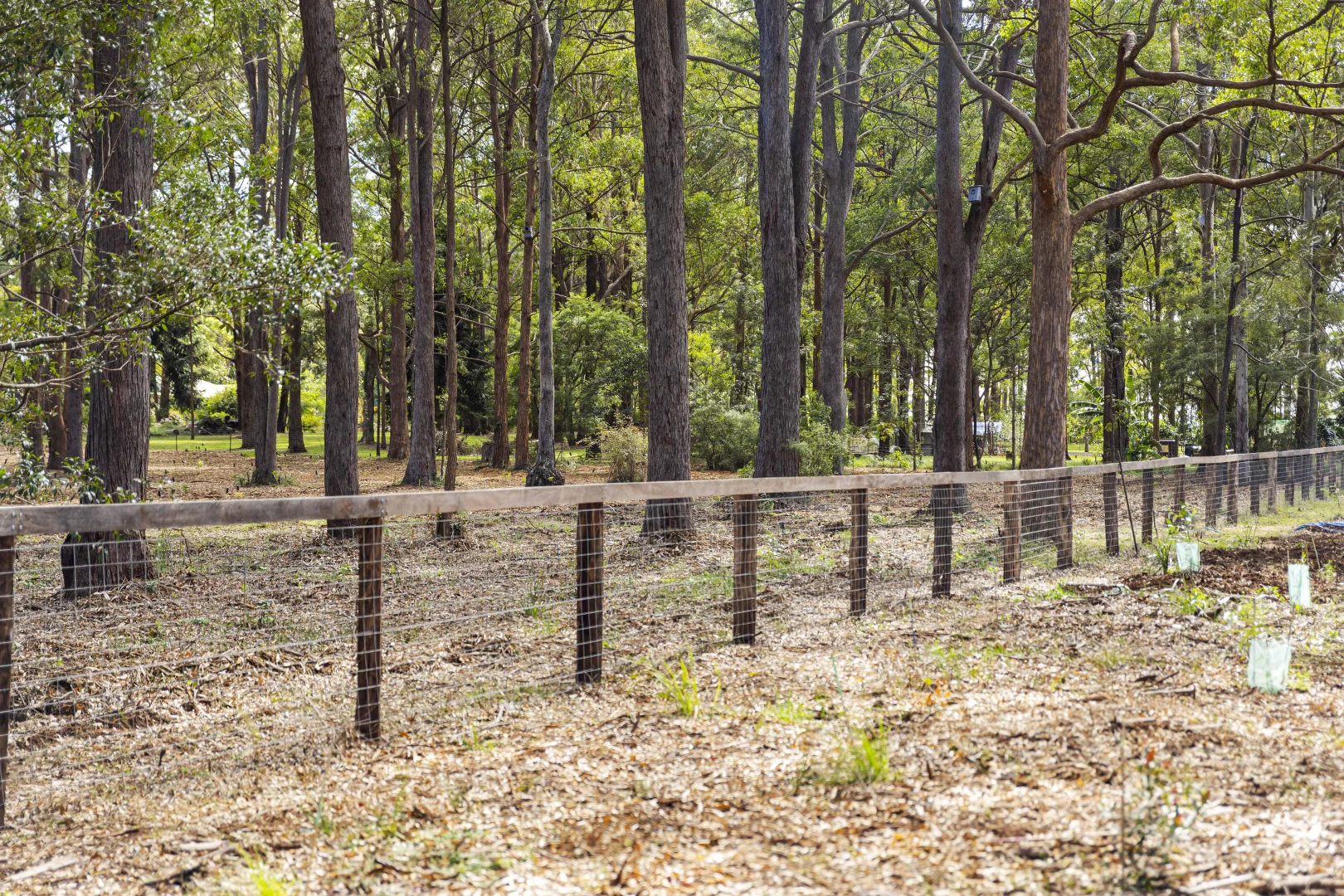 Additional image 5 of 29 Castle Road, Cabarlah QLD 4352