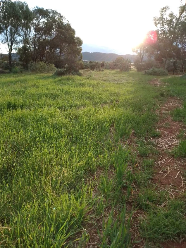 Additional image 36 of 68 Freebairn Road, Quorn SA 5433