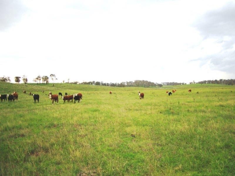 - Hillview Rd, Uralla NSW 2358, Image 2