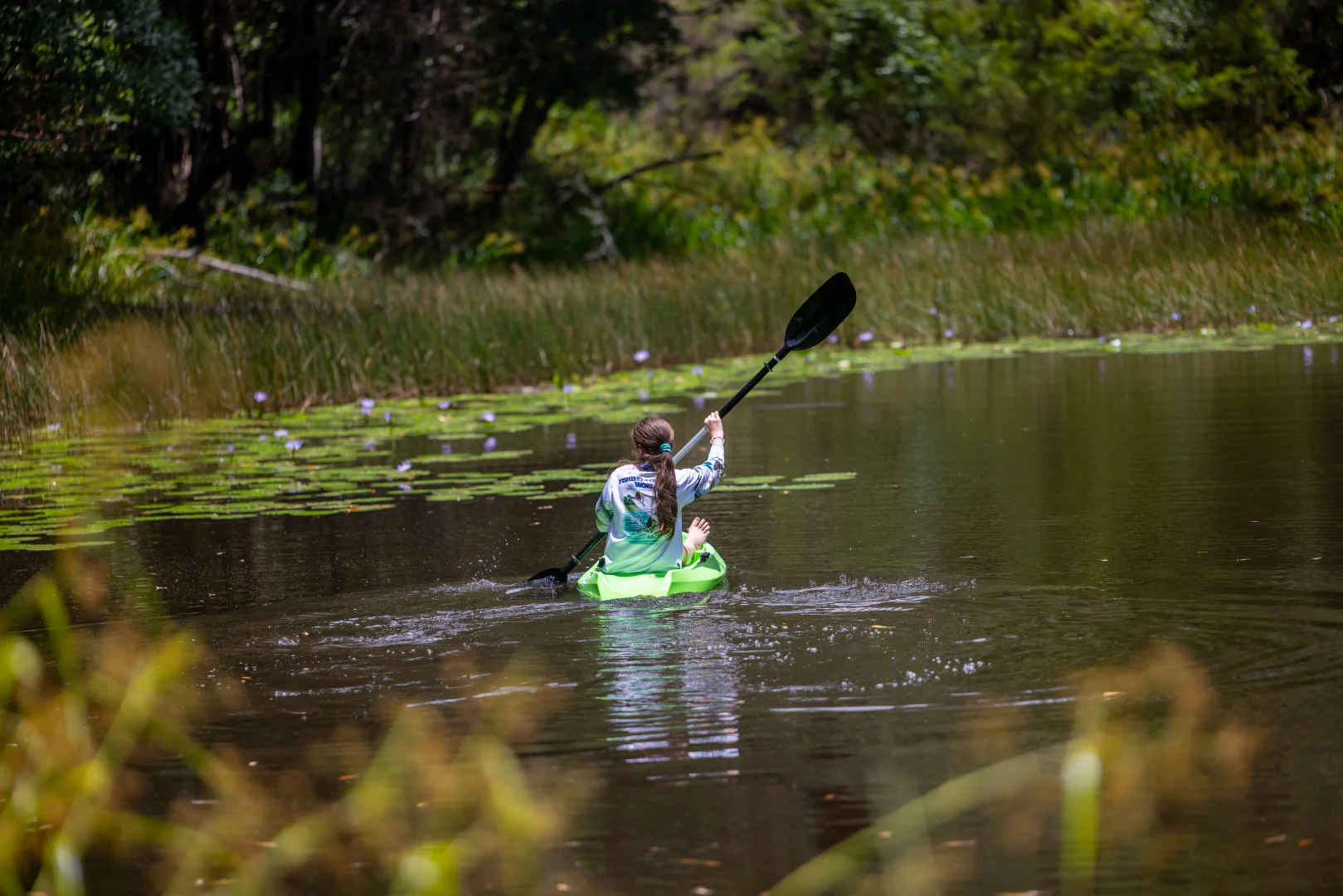 272 Ringtail Creek Road, Ringtail Creek QLD 4565