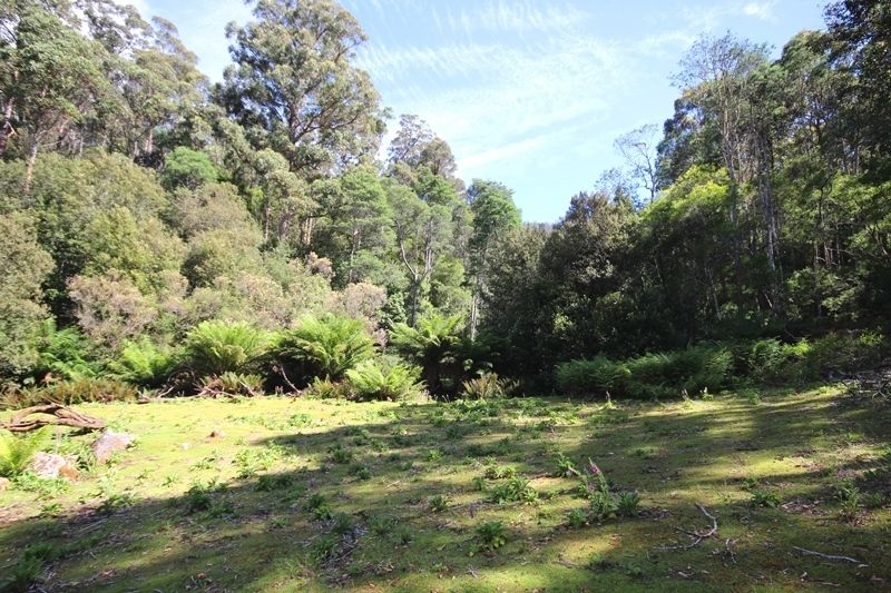 Lot 19 Waggs Gully Road, Ranelagh TAS 7109, Image 0