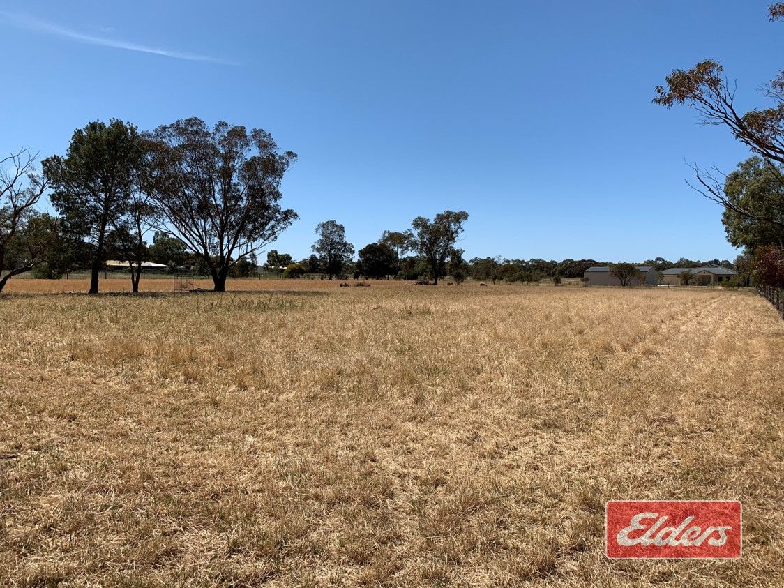 Lot 42 Clancy Road, Gawler Belt SA 5118, Image 2