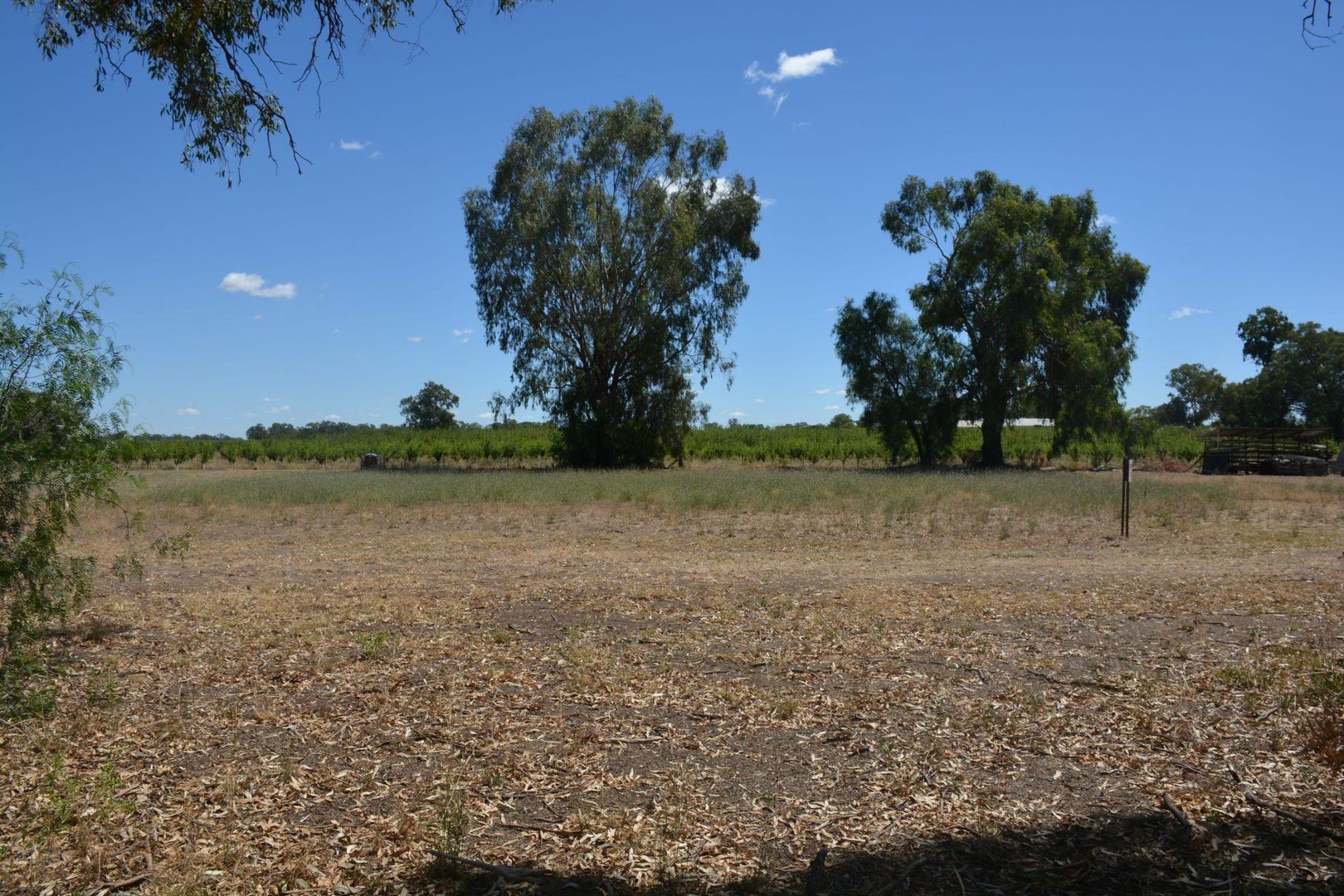 Lot 1 Murray Valley Highway, Yarroweyah VIC 3644, Image 2