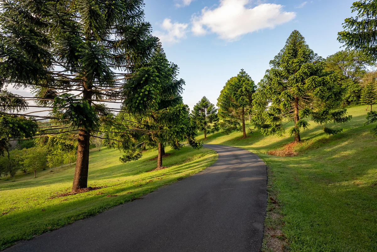Additional image 3 of 50 Possum Creek Road, Bangalow NSW 2479