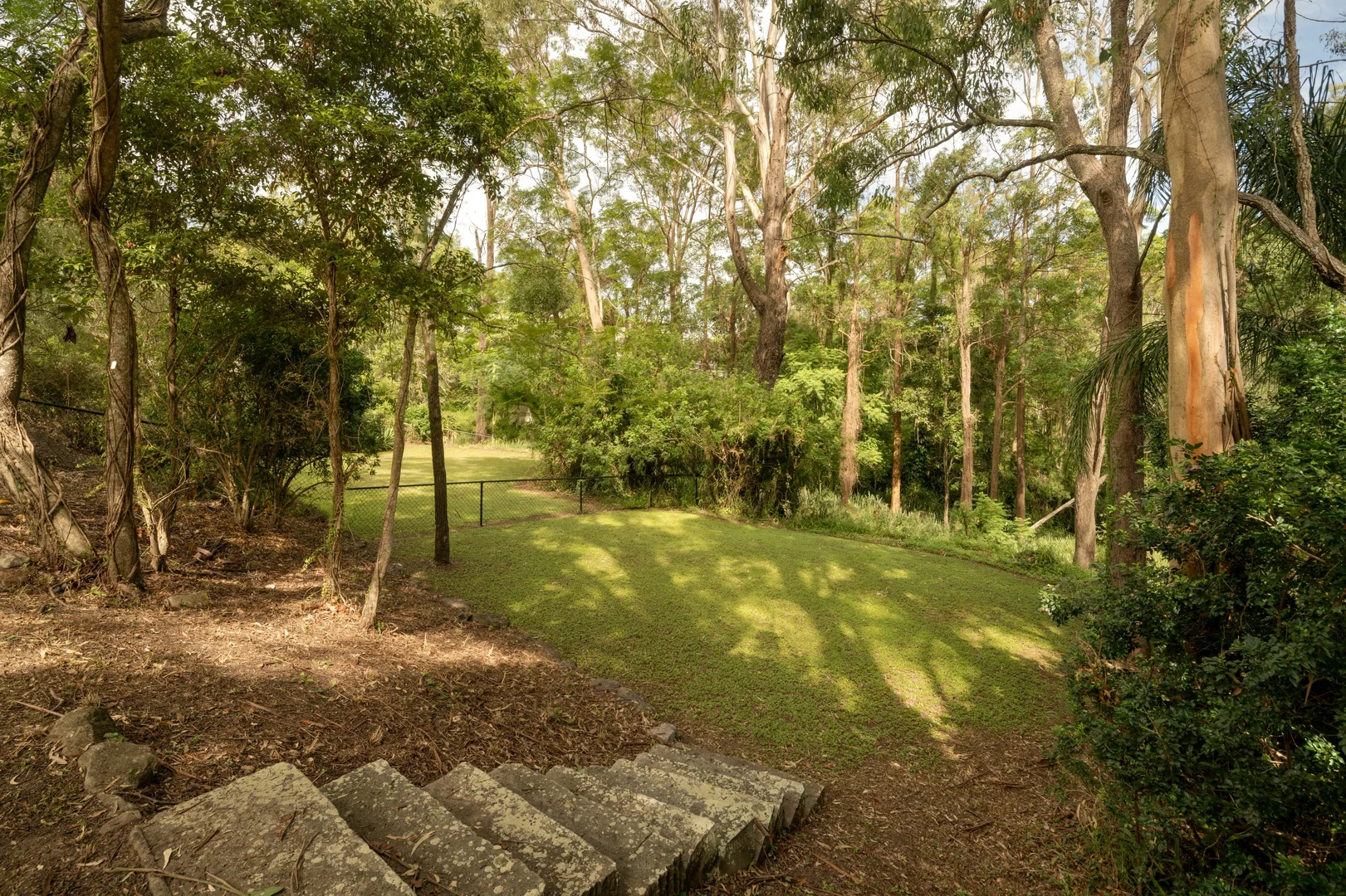 Image 19