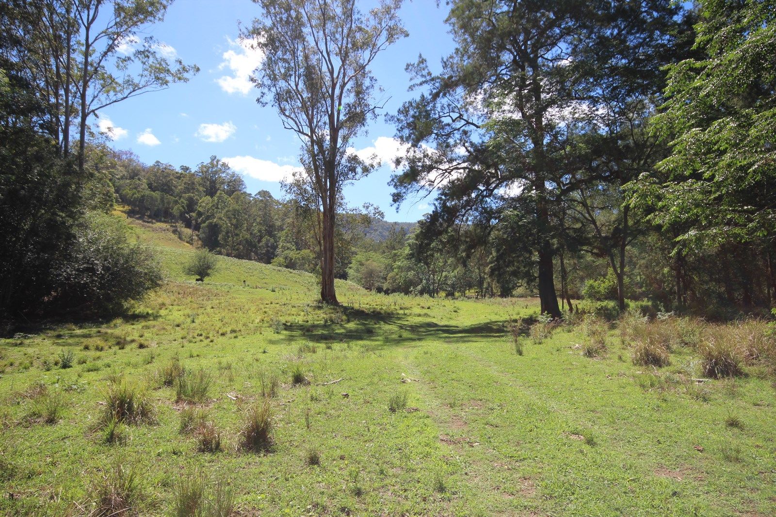 Lot 133 Forbes River Road, BIRDWOOD NSW 2446, Image 1