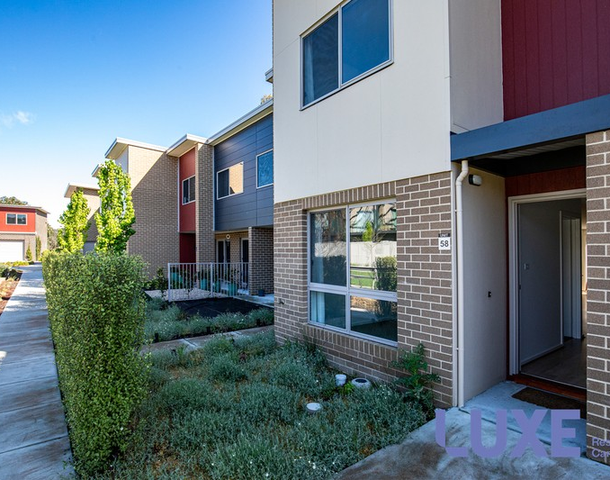 58/163 Mortimer Lewis Drive, Greenway ACT 2900