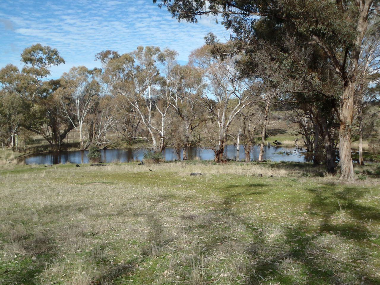 Lot 37 Block 9 Road, Wirrabara SA 5481, Image 0