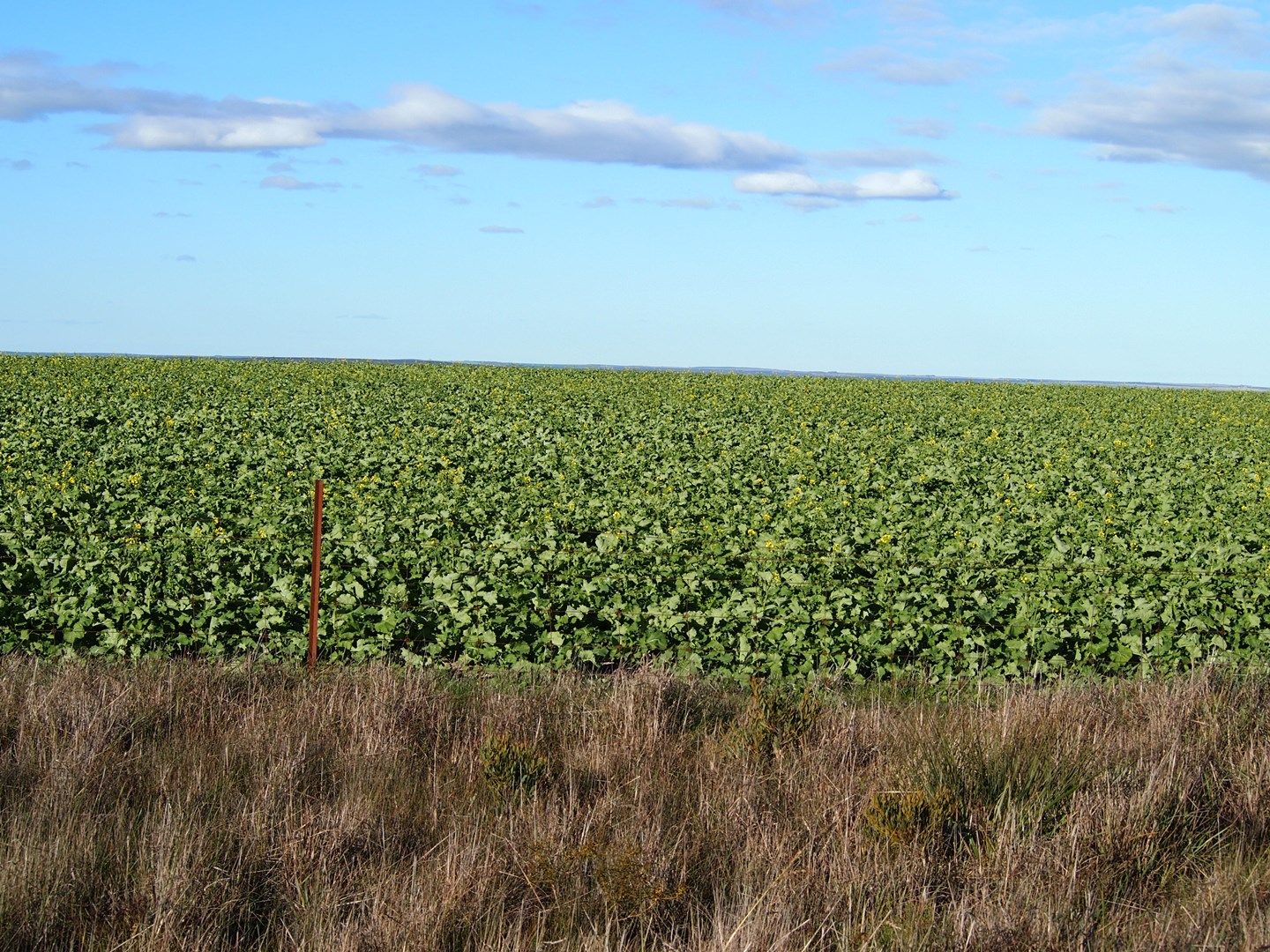 Moonies at Godfrey Road, Borden WA 6338, Image 0