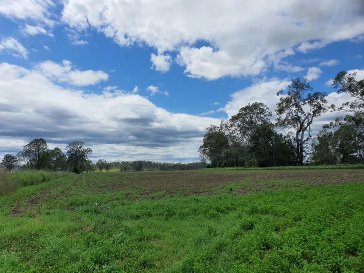 Image 18