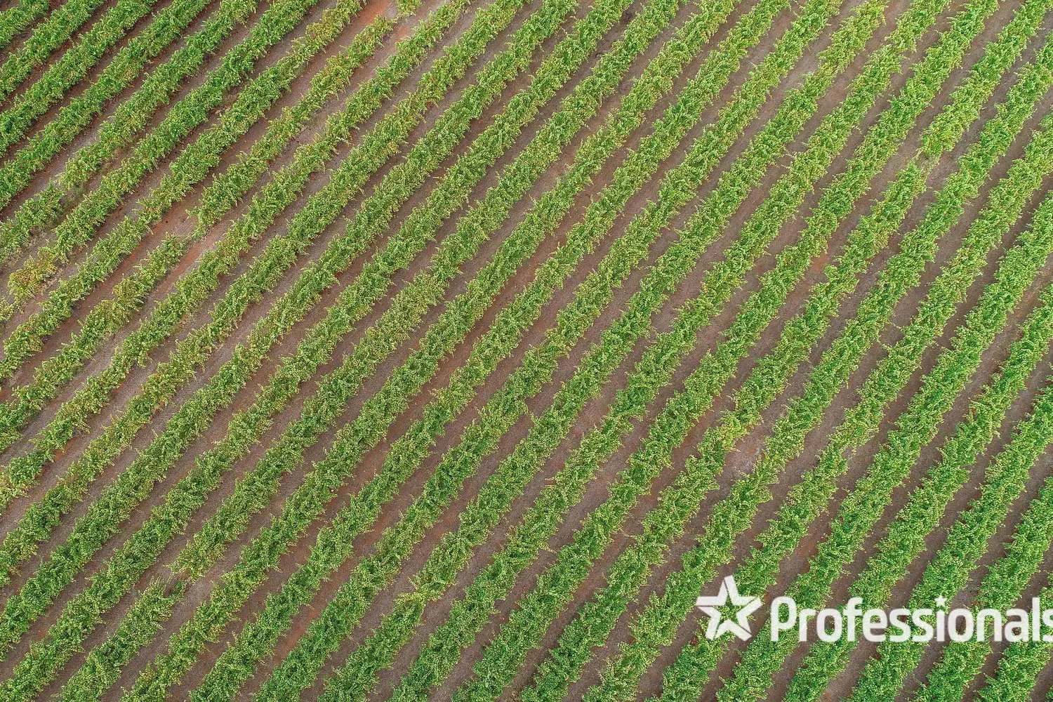 Additional image 18 of 405 Euston Avenue, Red Cliffs VIC 3496