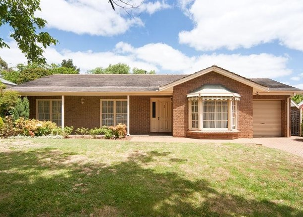 52 Park Avenue, Rosslyn Park SA 5072