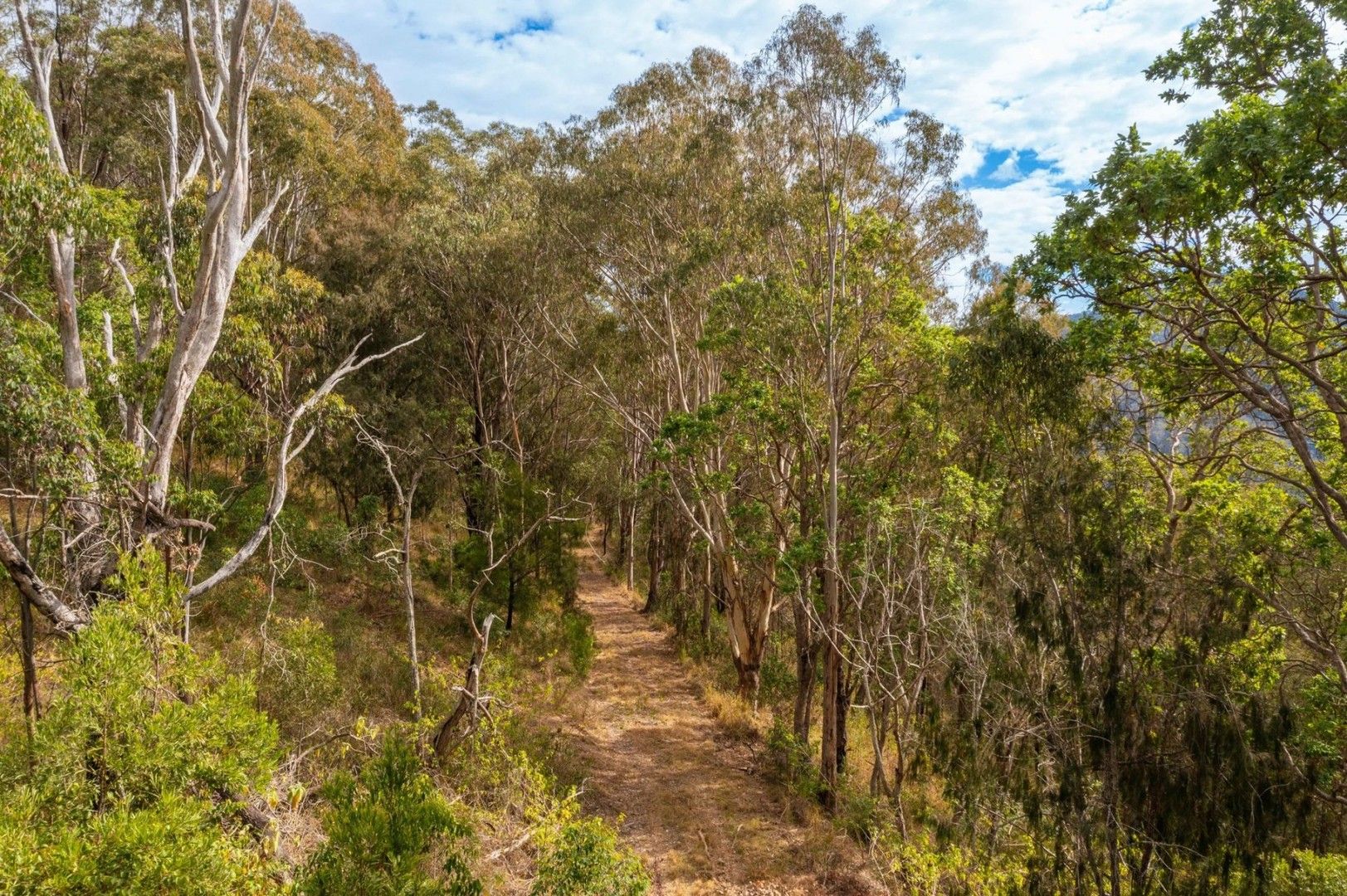 Lot 36 8416 Oxley Highway, Mount Seaview NSW 2446, Image 0