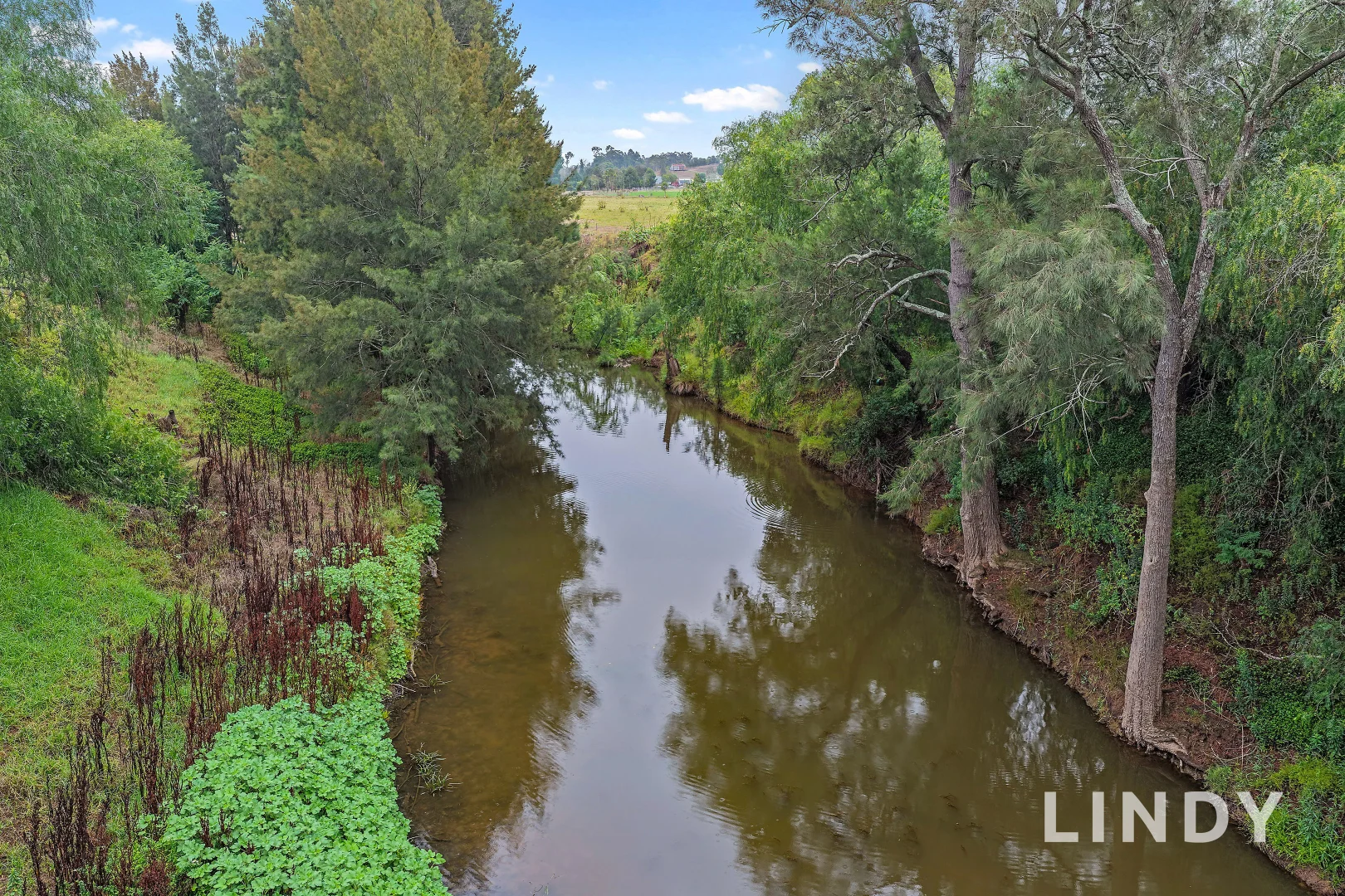 Additional image 16 of 259 Mitchells Flat Road, Singleton NSW 2330