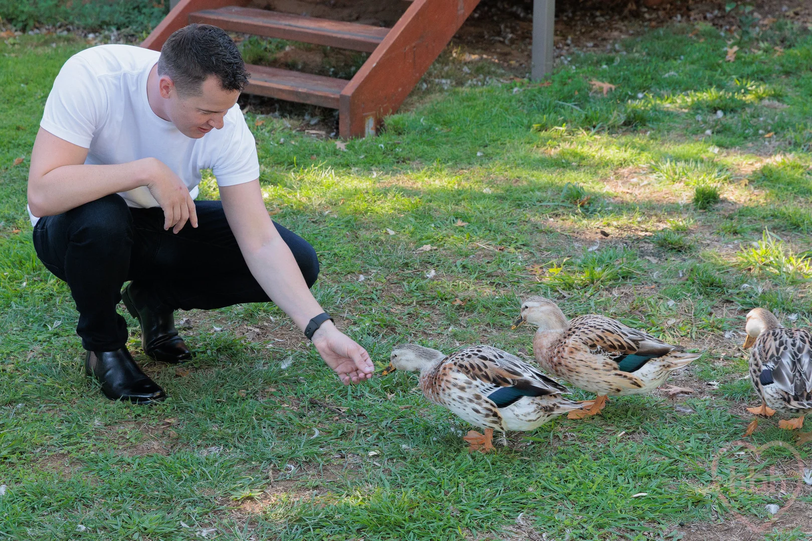 Additional image 28 of 6 Dobbie Place, Watson ACT 2602