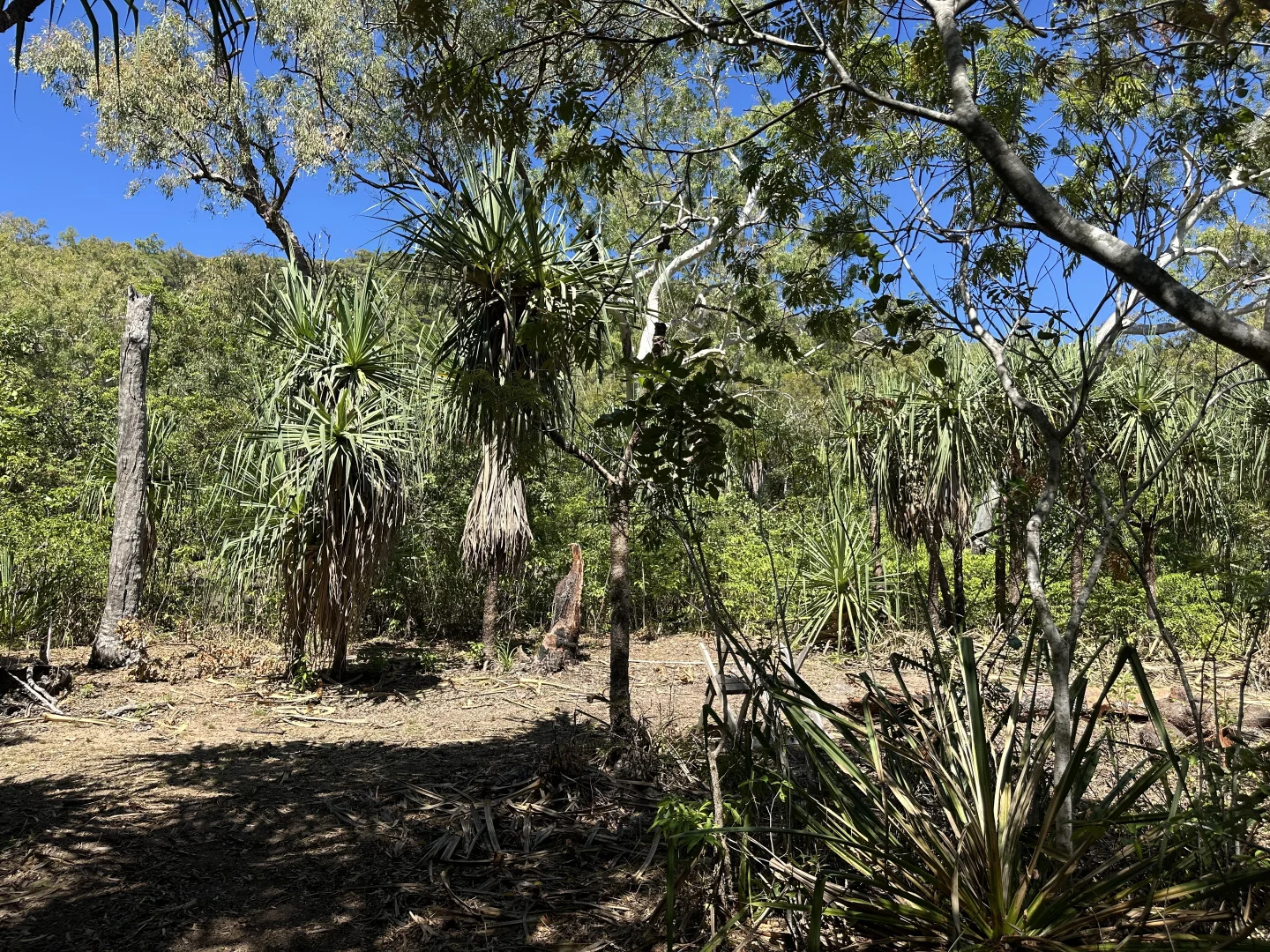 Image 11