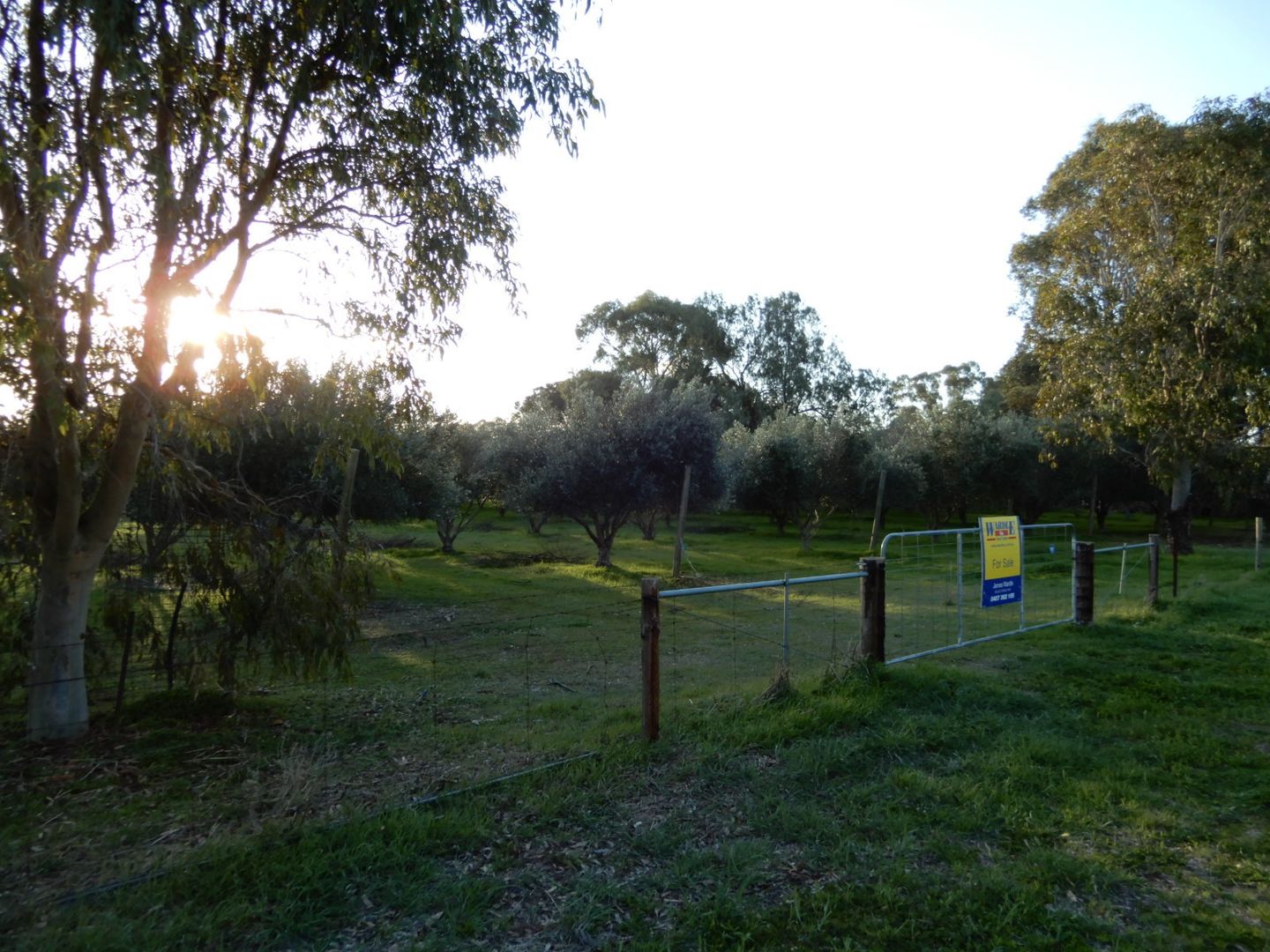 Allotment 100 Stock Route Road, Laura SA 5480, Image 1