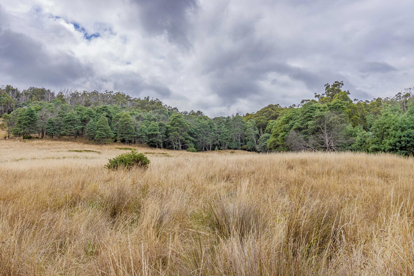 Additional image 6 of Geeveston TAS 7116