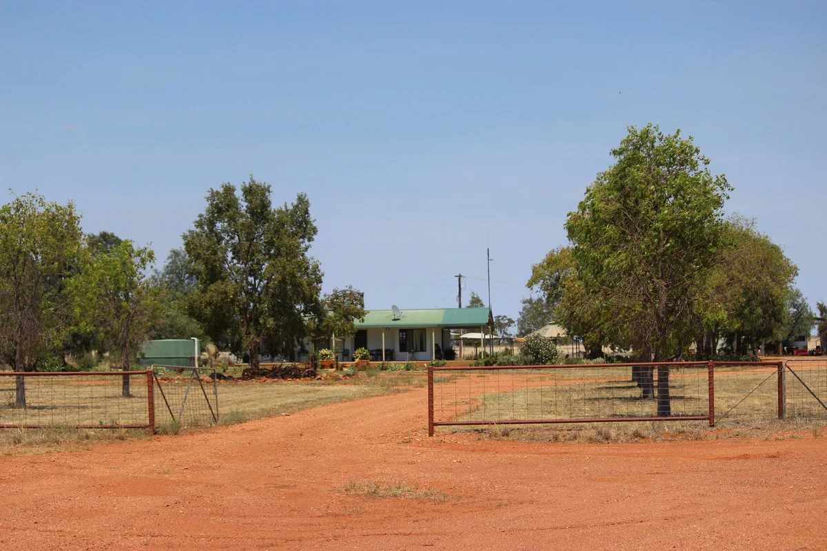 Image 19