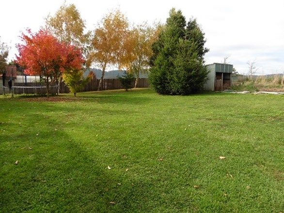 20 Ruby Flats Road, Ringarooma TAS 7263, Image 1