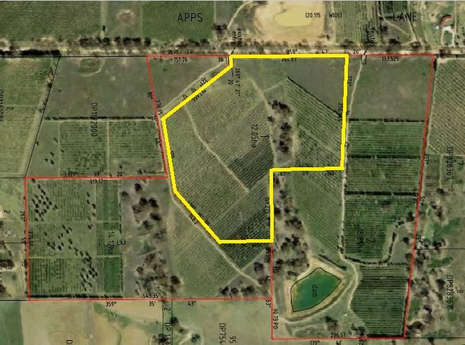 Proposed Lot 1 Apps Lane, Young NSW 2594, Image 2