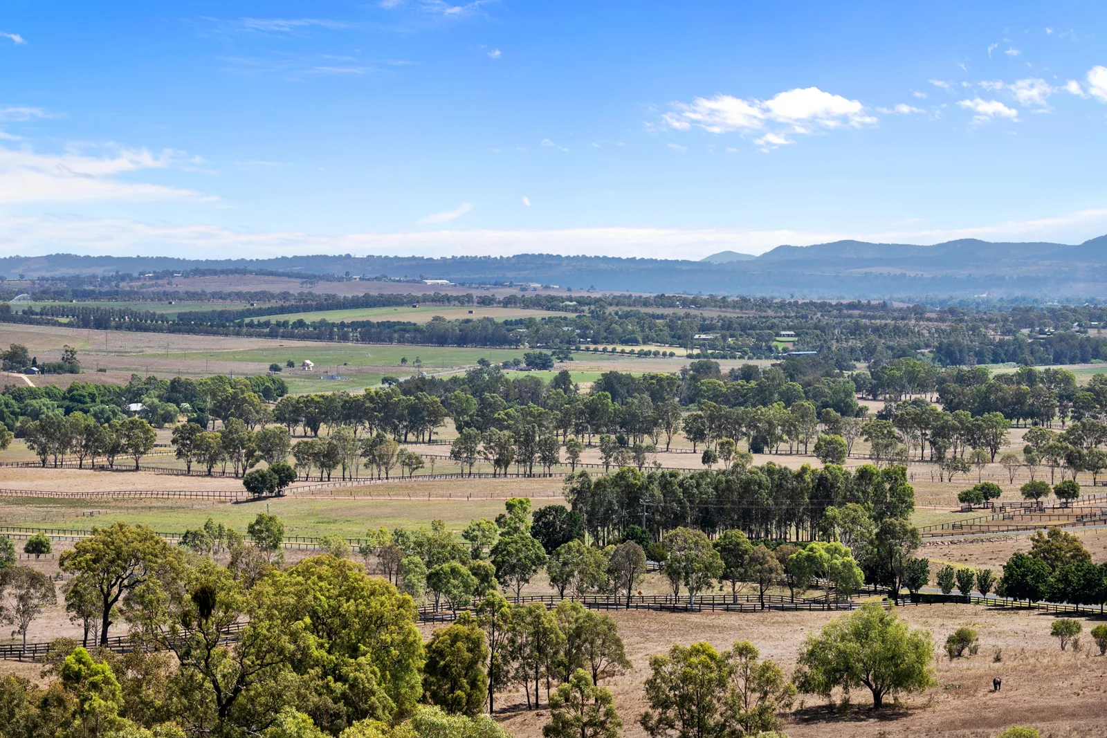 Additional image 17 of 4 Lighthorse Parade, Scone NSW 2337